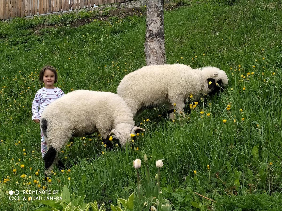 Agriturismo Luech Picedac Ла Вале Екстериор снимка