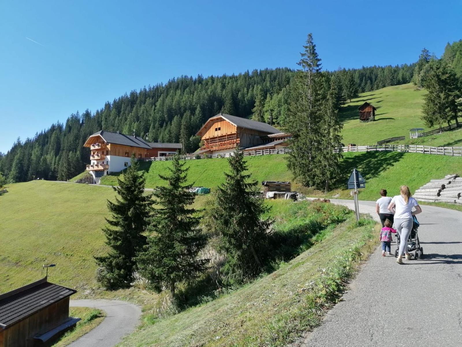 Agriturismo Luech Picedac Ла Вале Екстериор снимка